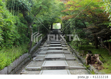 京都　ねねの道（台所坂） 41222218