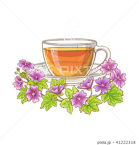malva tea illustration malva tea illustration 41222318