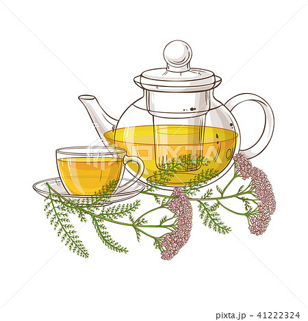 yarrow tea illustration 41222324