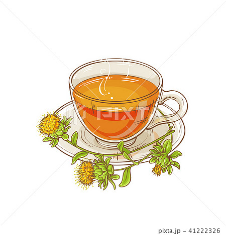 safflower tea illustration 41222326