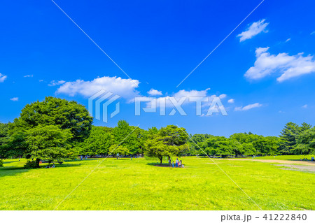 東京　光が丘公園の風景 41222840