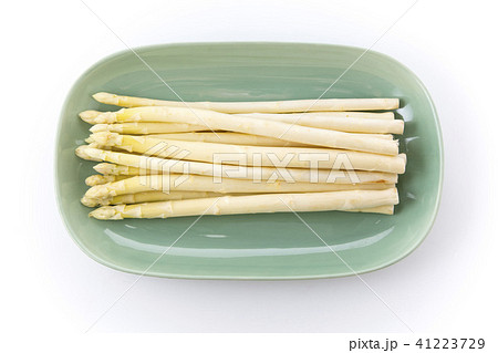 ホワイトアスパラ俯瞰グリーン皿盛り ホワイトアスパラ俯瞰グリーン皿盛り 41223729