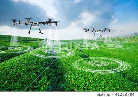 Agriculture drone scanning area green tea field Agriculture drone scanning area green tea field 41223784