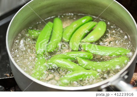 サヤエンドウ サヤエンドウ 41223916