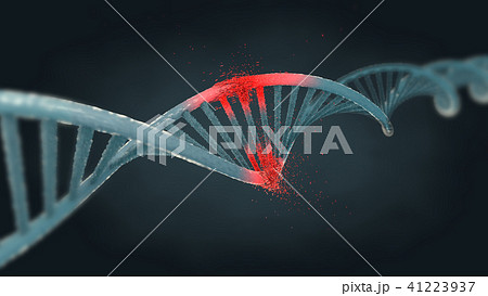 damaged ribonucleic acid or  dna strand  41223937