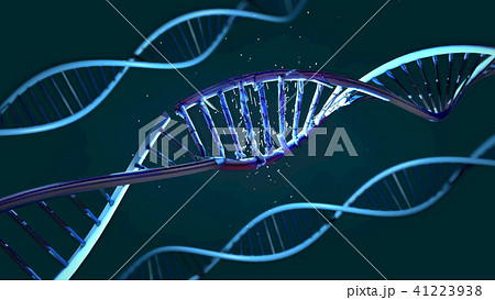 damaged ribonucleic acid or dna strand 41223938