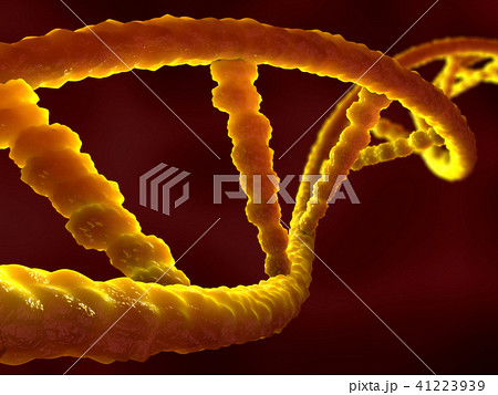 damaged ribonucleic acid or dna strand 41223939