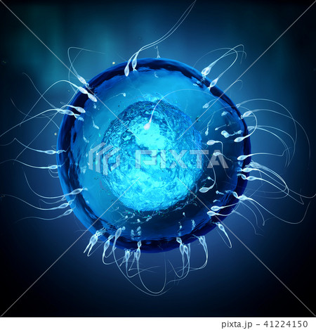 sperm cells moving towards an round blue egg cell sperm cells moving towards an round blue egg cell 41224150