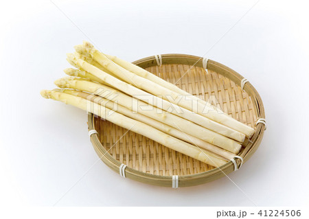 ホワイトアスパラガス竹笊入り 41224506