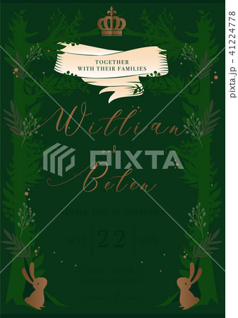 green story cover book wedding invitation card 41224778