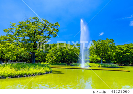 東京 春の代々木公園 東京 春の代々木公園 41225060