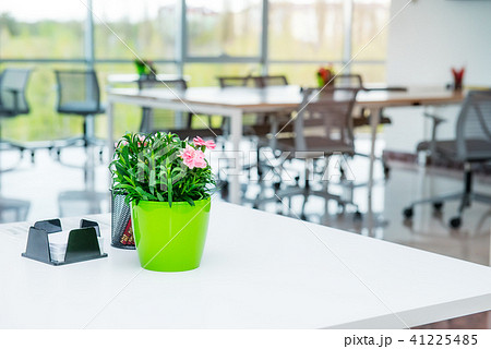 flowerpot on the table with blurred interior flowerpot on the table with blurred interior 41225485