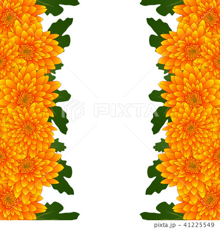 Yellow Mum, Chrysanthemum Flower Border 41225549