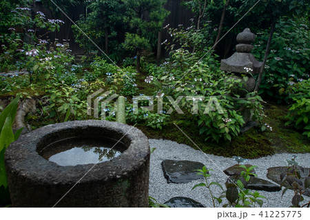 京都市東山区建仁寺塔頭寺院・霊源院甘露庭を撮影 京都市東山区建仁寺塔頭寺院・霊源院甘露庭を撮影 41225775