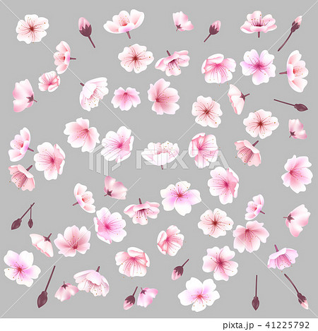 Sakura flowers. Spring background. Vector illustration. 41225792