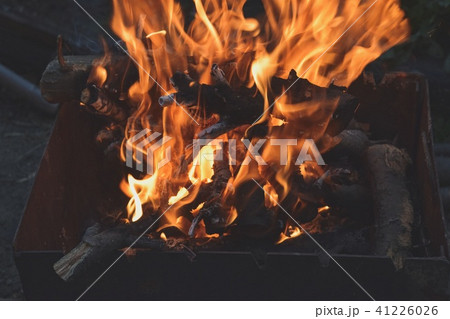 fire wood nature 41226026