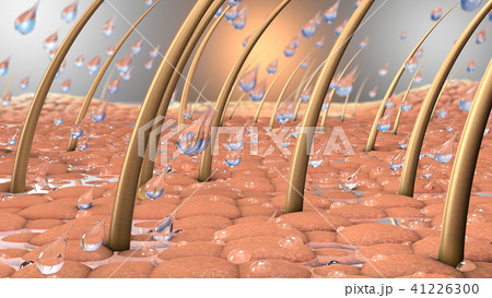 water drops on a close up part of skin with hair 41226300