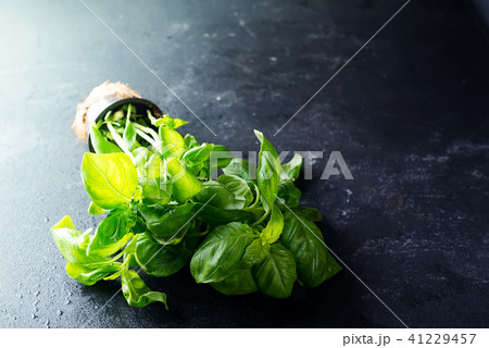 Sweet basil in pot on stone background. Sweet basil in pot on stone background. 41229457