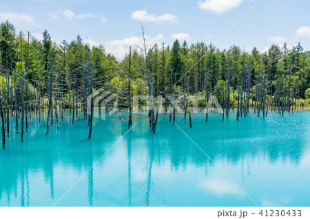 【北海道】青い池 41230433