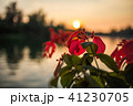 残照 残光 夕照 41230705