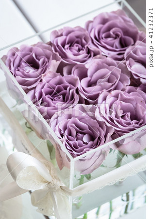 Pastel purple roses in clear acrylic box Pastel purple roses in clear acrylic box 41232371