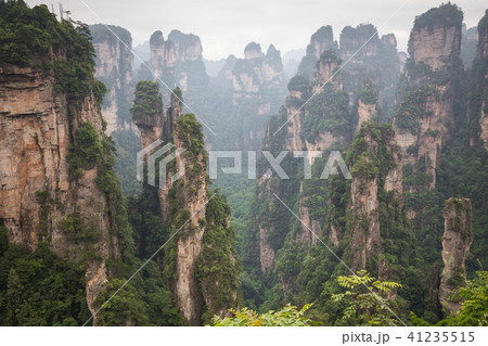 Zhangjiajie Forest Park. Gigantic pillar mountains Zhangjiajie Forest Park. Gigantic pillar mountains 41235515