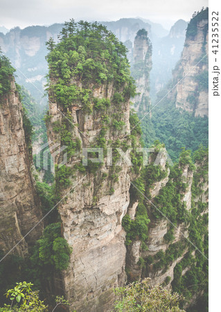 Zhangjiajie Forest Park. Gigantic pillar mountains 41235522