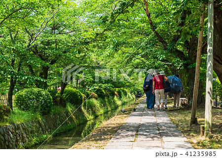 京都 哲学の道 京都 哲学の道 41235985