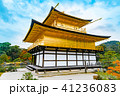 金閣寺：京都 41236083