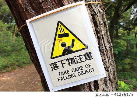 落下物注意の看板_森の中の注意看板 41236178