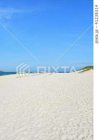 宮古島／夏の風景 41236314