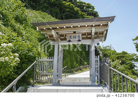 成就院参道(鎌倉市極楽寺) 成就院参道(鎌倉市極楽寺) 41236700