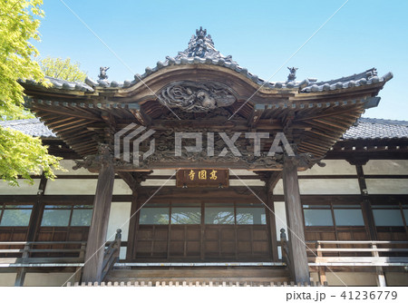 宿鳳山高円寺の本堂（東京都杉並区） 41236779