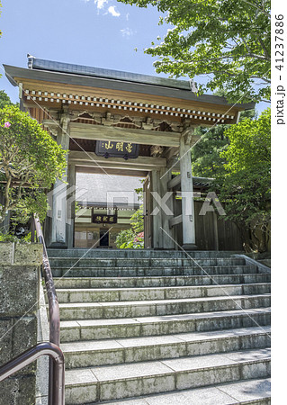 成就院山門(鎌倉市極楽寺) 成就院山門(鎌倉市極楽寺) 41237886