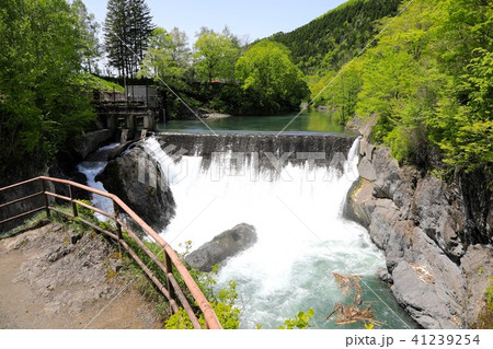 滝の上渓谷・洛陽の滝 41239254