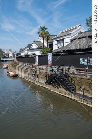 巴波川 遊覧船発着所付近 栃木県 巴波川 遊覧船発着所付近 栃木県 41239525