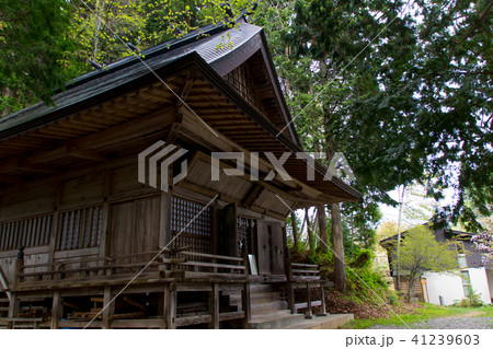 戸隠神社・火之御子社／長野県長野市 41239603