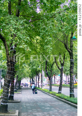 台湾 台北 台北市 41239852