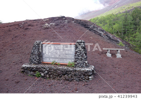 富士山五合目御庭の寄生火山の丘 41239943