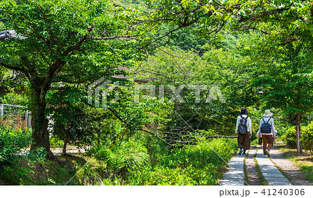 京都 哲学の道 京都 哲学の道 41240306