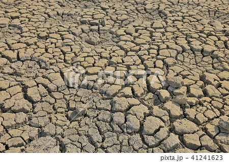 an Abstract natural texture cracked earth. hk 41241623