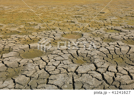 an Abstract natural texture cracked earth. hk 41241627