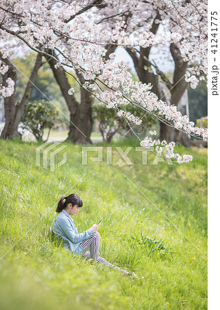 桜と少女 41241775