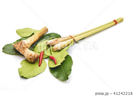thai spicy soup ingredients with galangal 41242218