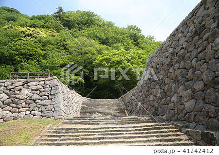 鳥取城 鳥取城 41242412
