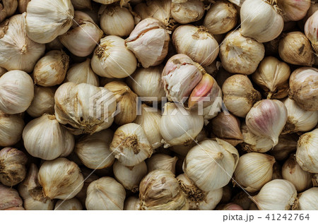 Dried garlic with background. Dried garlic with background. 41242764