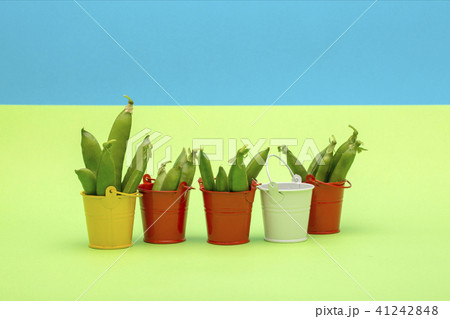 Still life with buckets and green peas Still life with buckets and green peas 41242848