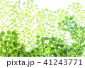 新緑 41243771
