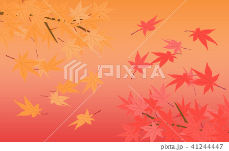 2色の紅葉 41244447