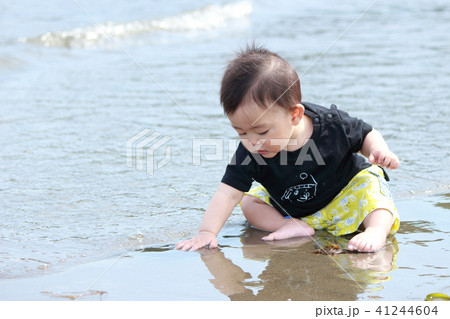 初めての海 初めての海 41244604